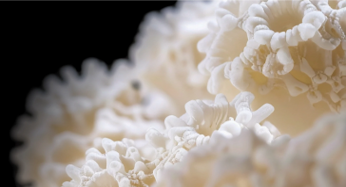 Course Image Sympodium Institute Policies